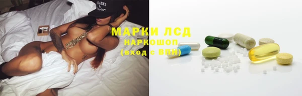 шишки Баксан