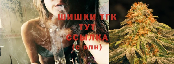 шишки Баксан