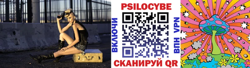 дарнет шоп  Нефтекумск  Псилоцибиновые грибы прущие грибы 